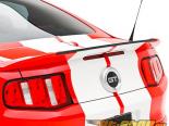 3dCarbon Accessory Package 2 Ford Mustang 10-12