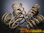 TEIN Luxury Master High.Tech Coil Springs Acura TL