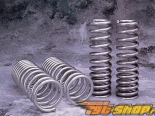   Techniques Sport Springs Ford Mustang 96-04