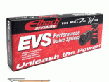 Eibach EVS Pro Valve Springs: Subaru Impreza WRX/STi 02-07 #20421