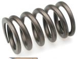 Brian Crower Valve   (Springs Only) : Mitsubishi Eclipse 90-99 #23801