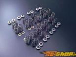 Tomei Type B Valve Spring Set для Nissan SR20DET Engine [TO-163025]